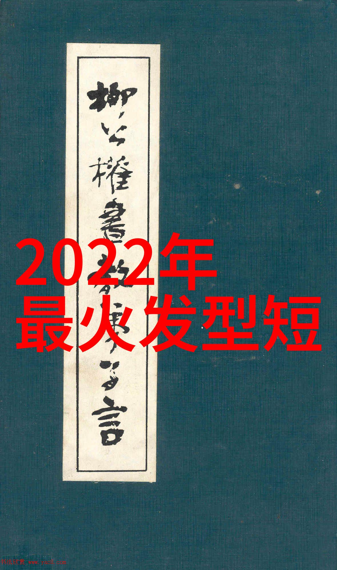 春风拂面两朵花开烫小卷与烫直哪一抹更动人心弦让我们一同观赏这两款发型的美丽对决