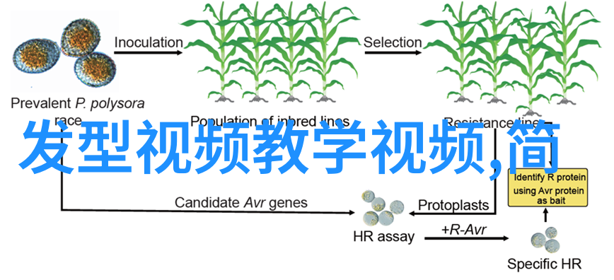 剪发技艺大师掌握每一款流行造型的秘诀