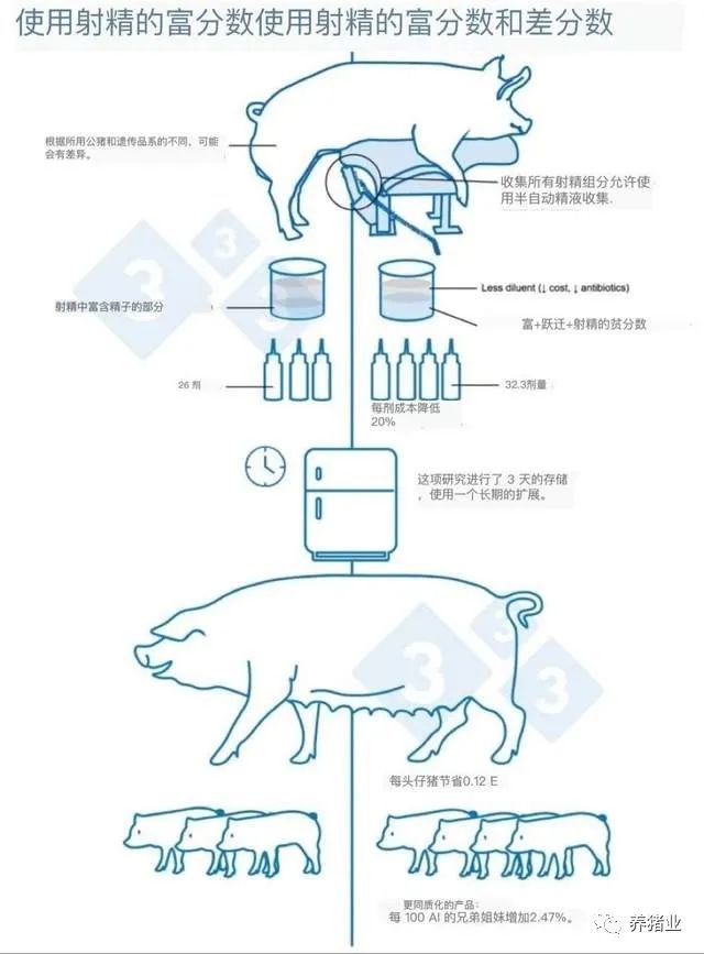 网站揭秘如何一举让语文课代表泪崩