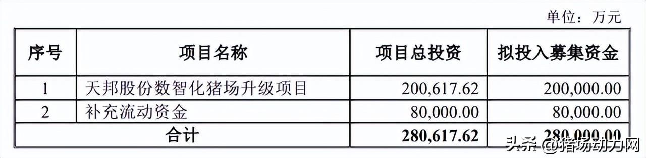 探索个人风范发型选择的哲学与实践