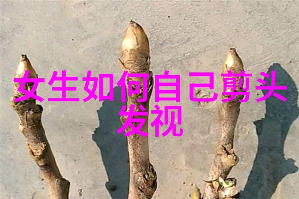 中年女性发型变迁及其对社会认知的影响研究