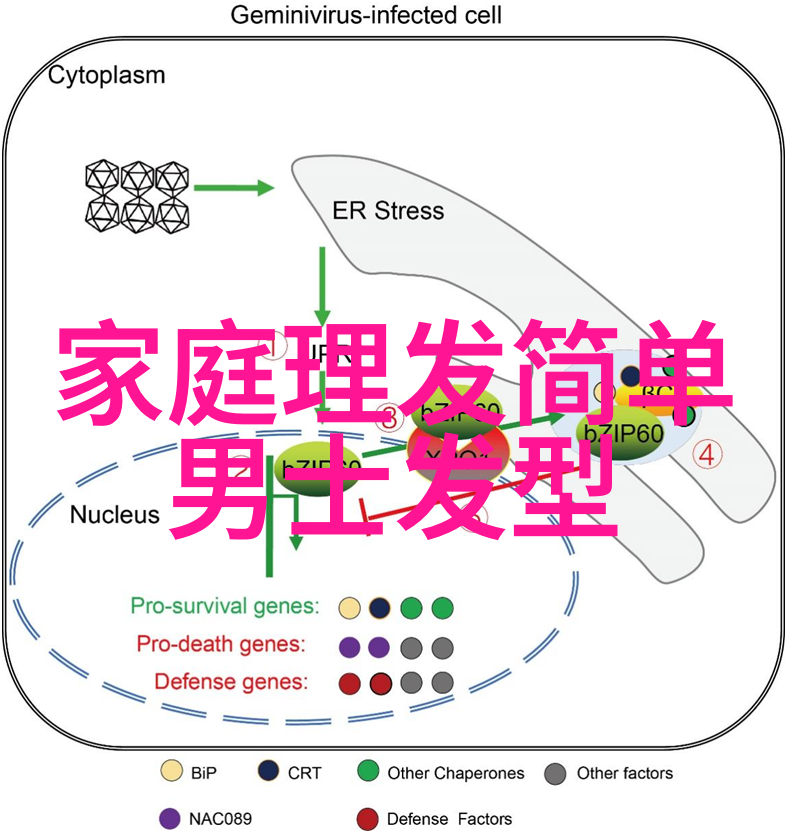 美发软件我如何用一款小工具变身为时尚博主