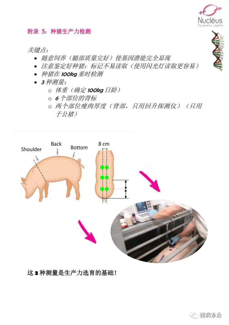 学理发一般学多久-剪裁技艺理发师的成长之路探究