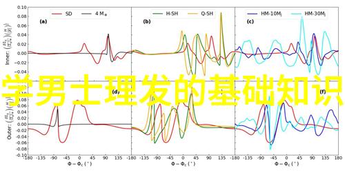 副局长职责政府部门中负责辅助领导工作的高级官员