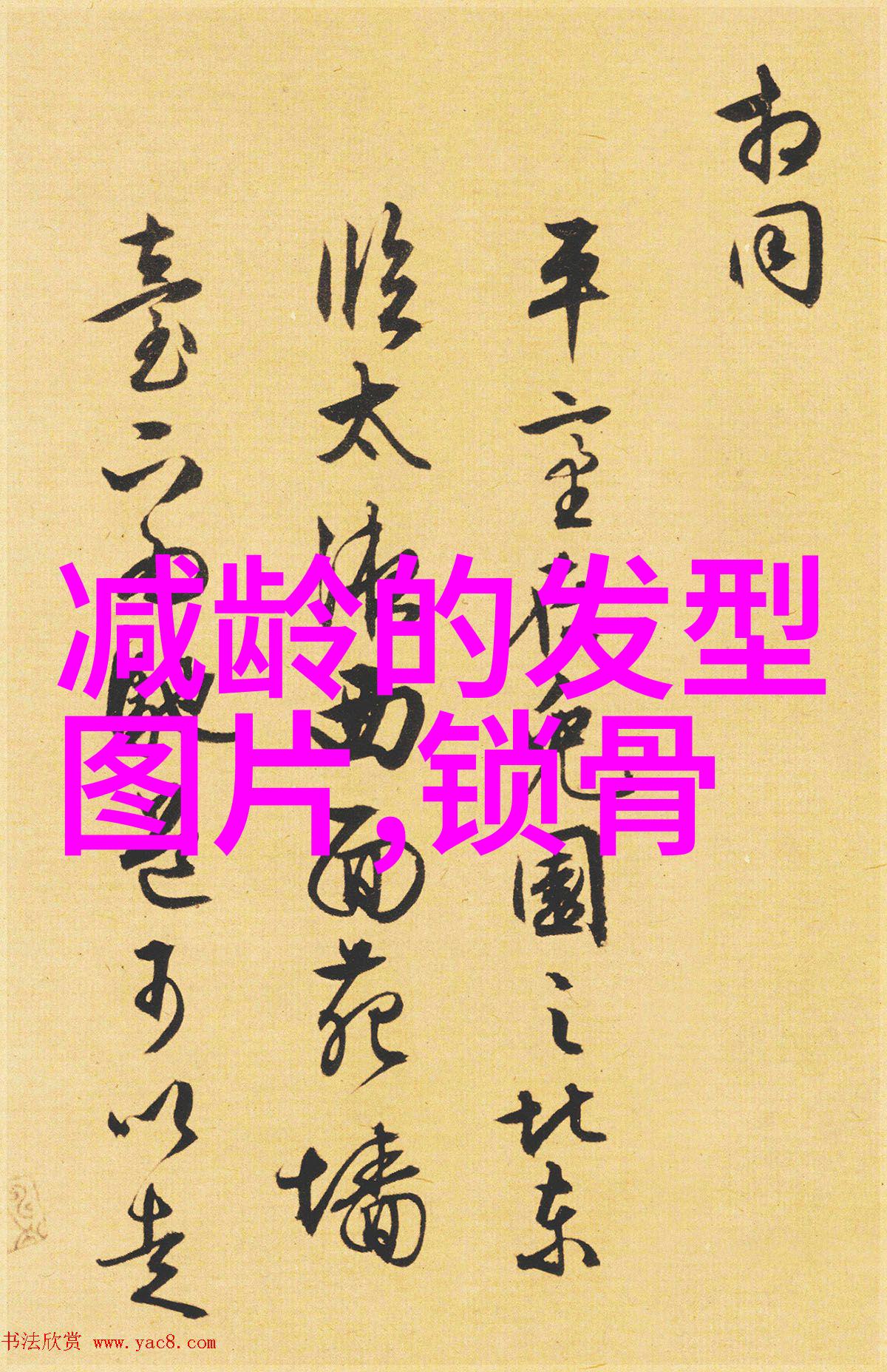 2023年最新女短发潮流轻盈时尚与个性魅力并重