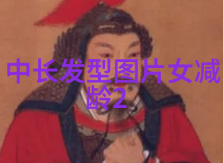 绚烂编发半披肩淑女的华美之姿