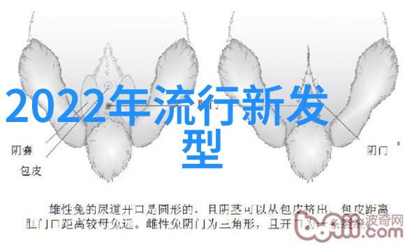 减龄短发神奇变身2021最新款打造精致小脸适合哪些脸型