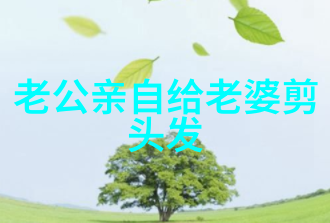 给自己编头发教程DIY美发技巧