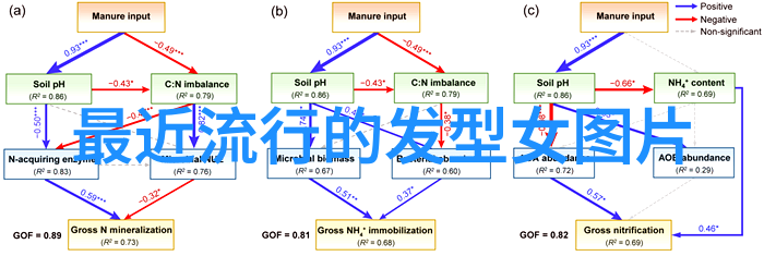 芙蓉颜色下的记忆追寻那片红色的故乡