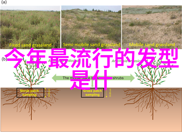 如何有效地将三维模拟与实物结合起来进行教学