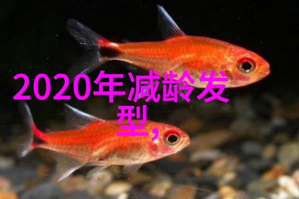 2021年流行发型图片我都来看看那些时髦的头发设计了