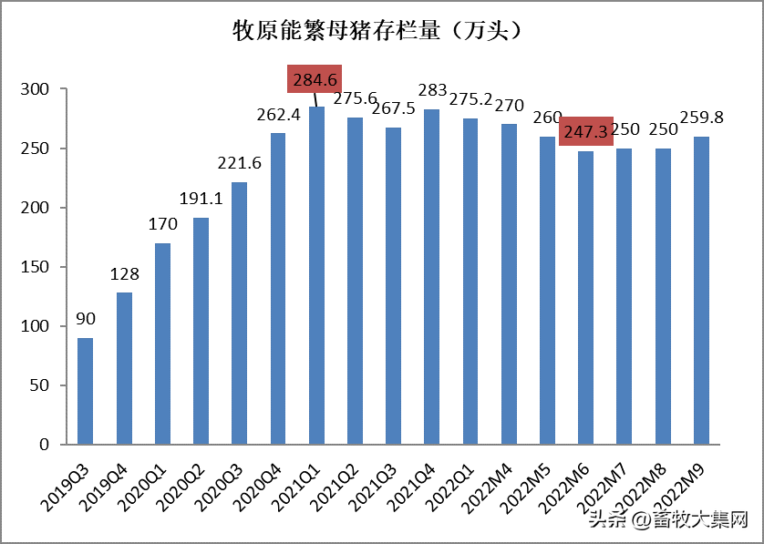 短发再现时尚年轻女性的新选择