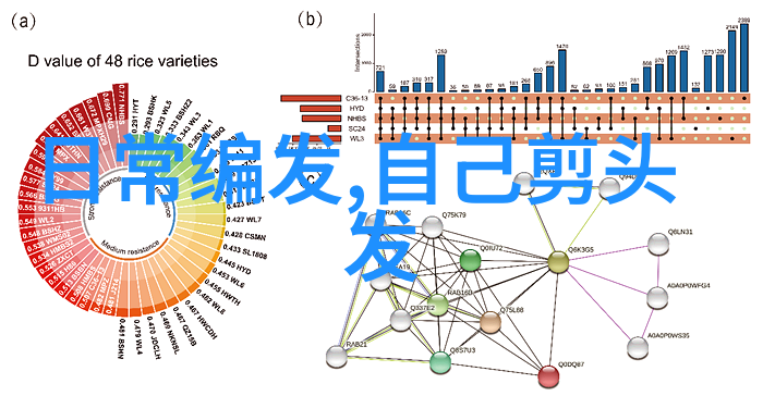 男生帅气发型指南如何选择最适合你的造型