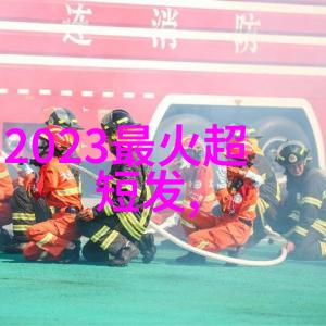 根据最新数据统计王小帅新作旅馆及另外两部影片已成功入围多伦多电影节同时大地影院宣布将提供神马高清完整