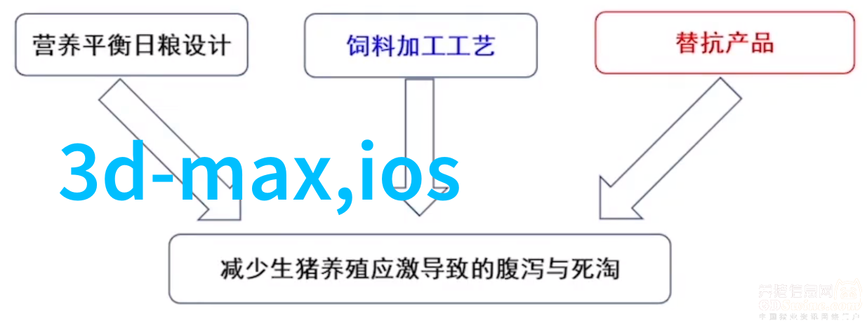 逆袭短发美小红书上的简约魅力