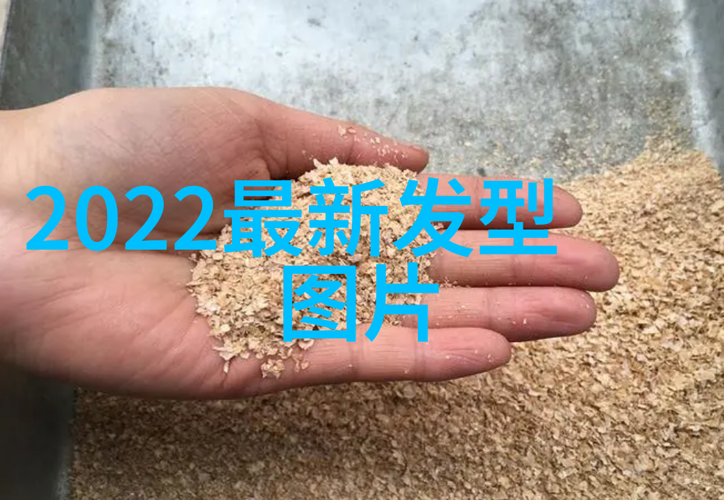 时尚前沿揭秘2022年最受欢迎的男孩发型