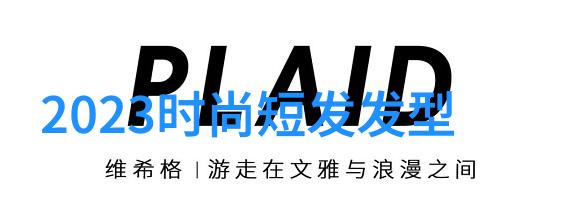 我应该采用什么样的编发技术来修饰我的脸型