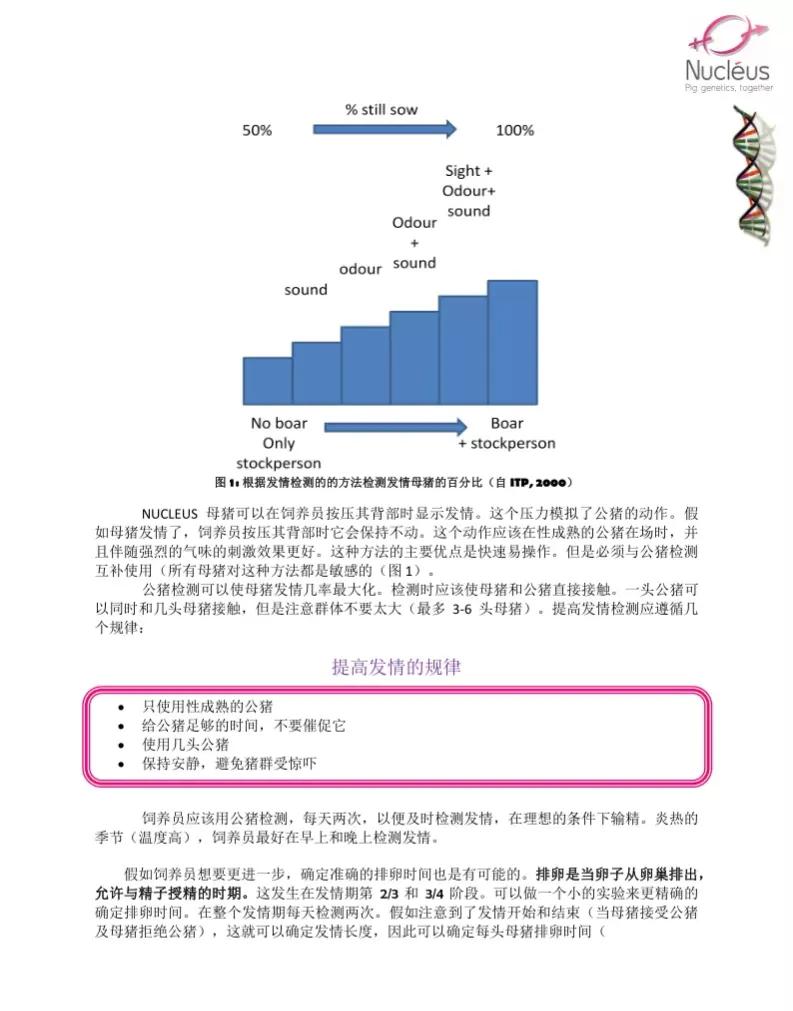 小资气息满分优雅女性专属的中长混搭技巧