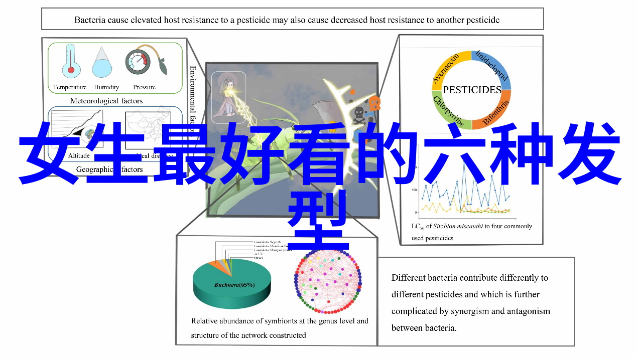 科技应用-面部变换FaceApp如何让你的照片走向未来