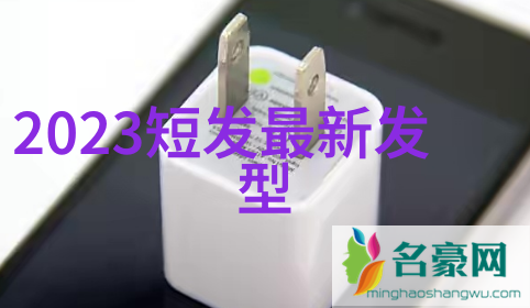 理发艺术与技巧的双重修炼探索正规理发师培训学校的魅力