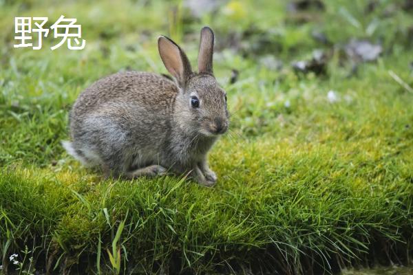 夏日初到6月9号阳光下的新希望与展望