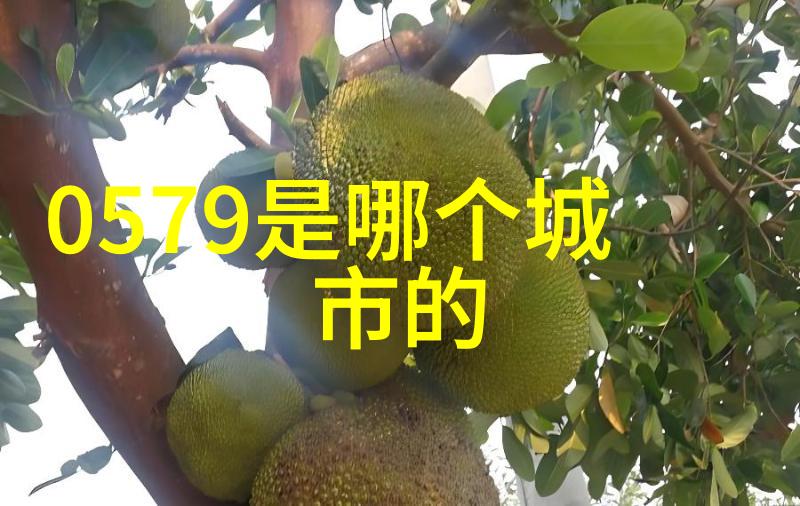 时尚潮流-2023年最火女生发型轻盈卷曲与边缘剪法