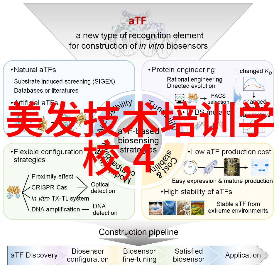 探秘Hangu文化背后的历史与艺术意义