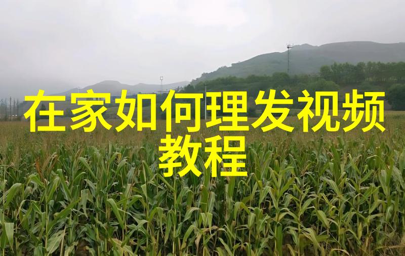 小说蜗居-隐秘的故事角落小说家们的小屋生活