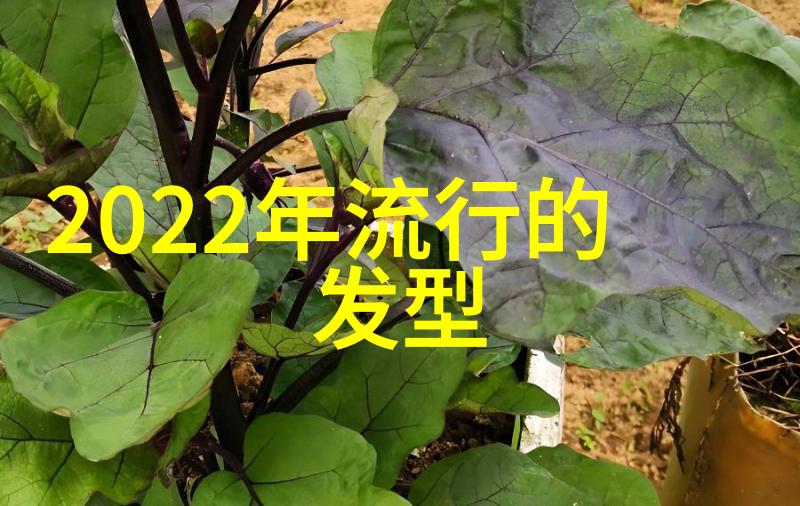 时尚潮流-2023年最火的发型简约风格与个性造型并重