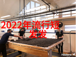 男士发型百宝箱从经典到时尚领略每一款风范的魅力