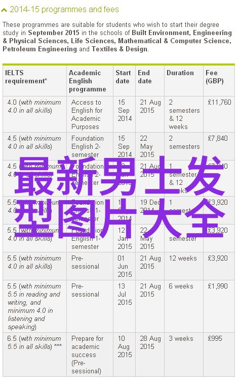 风度-雅致的风度如何在生活中展现优雅与自信