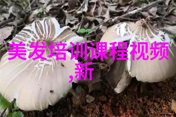 美容医院推荐方圆脸适合的短发款式日系短卷造型小巧温柔