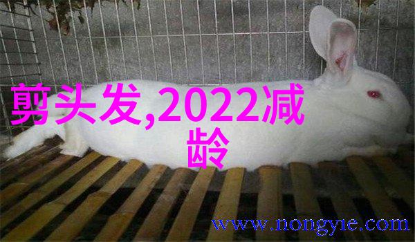 简约时尚2022流行短发搭配技巧大揭秘