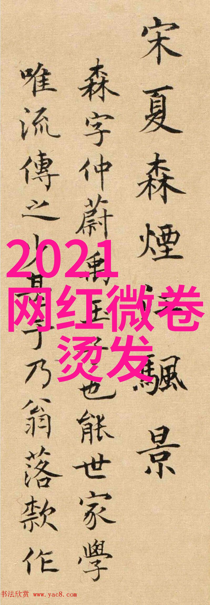 40岁白发如雪如何盘绾出优雅大气的发型一步步教你时尚盘发技巧