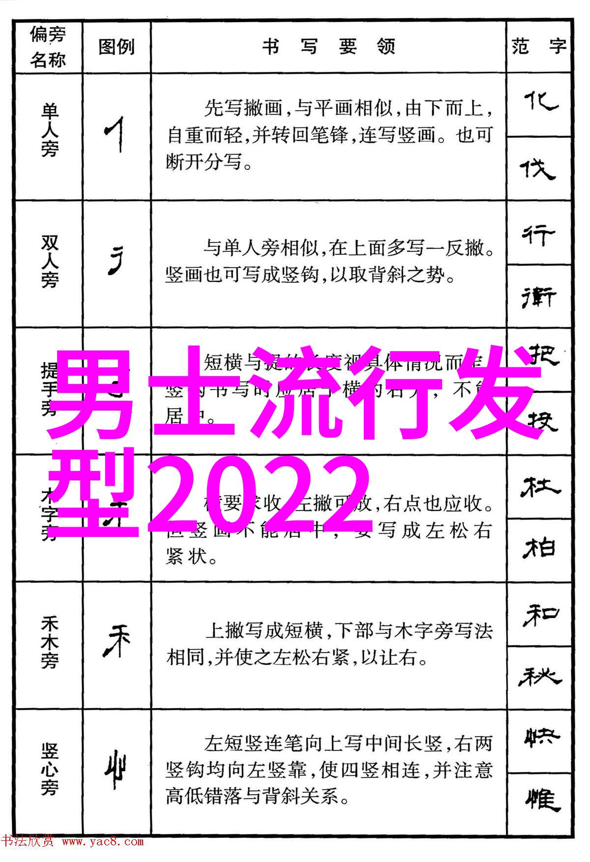 学美发第一步基础理发技巧与工具使用美发初学者必备知识