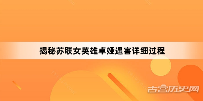 美丽转身从旧网址到新颜的奇幻之旅