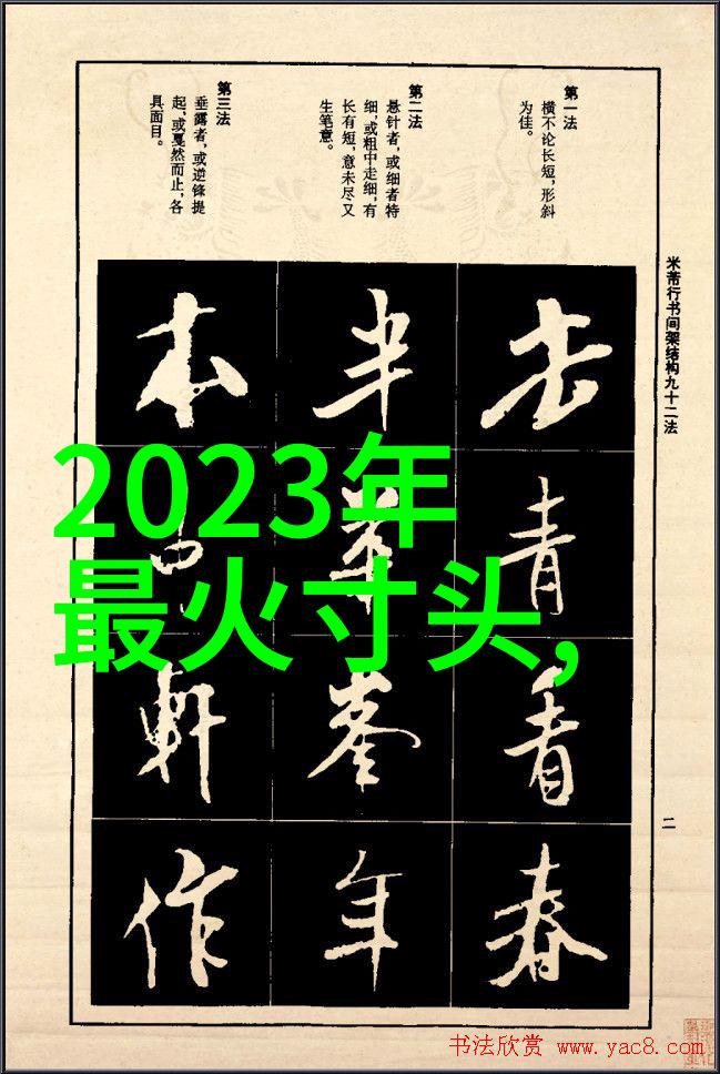 美发艺术基础剪发染发与吹风技艺的精髓探究