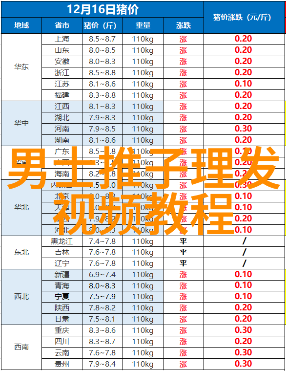 秀发低落探索短发的魅力与挑战