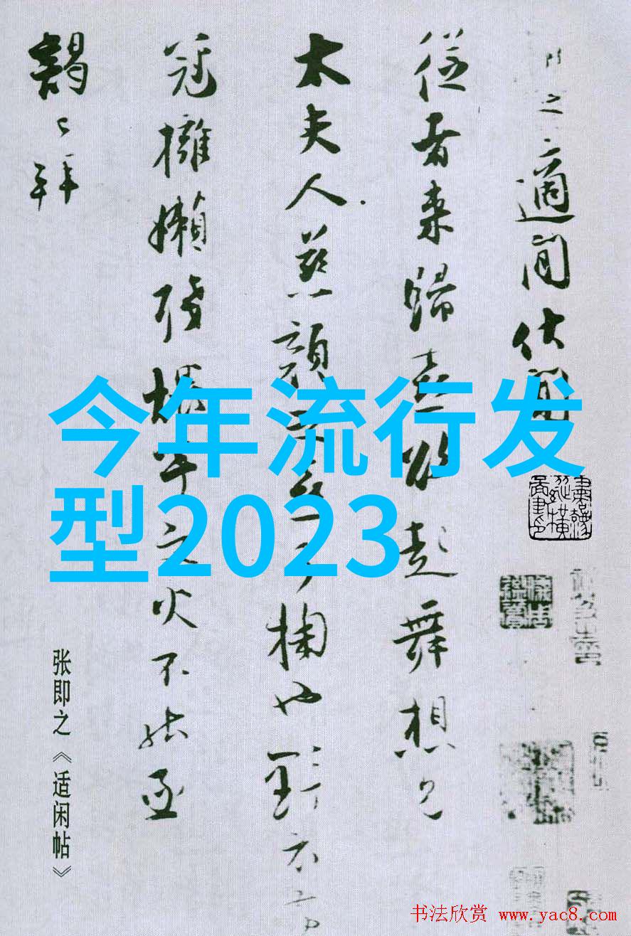 2023美发图片丸子头如何不散湿发感让丸子头焕然一新仿佛生动的生命在头顶上跳跃