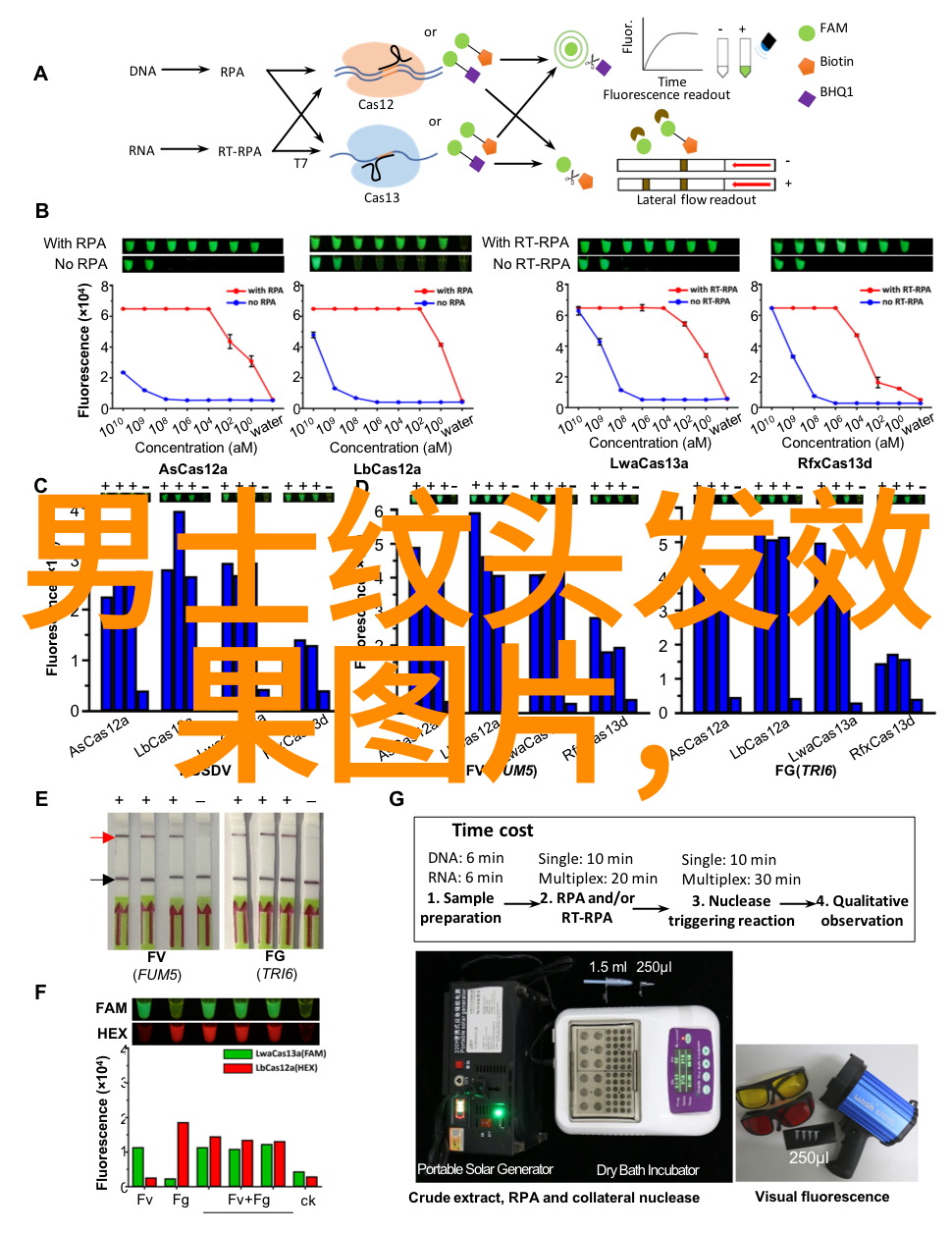 中年女士的秀发魅力探索适合40岁女性的时尚发型