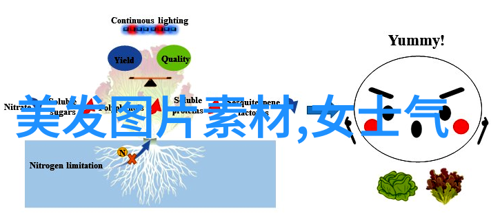 绝望教室动漫免费全集揭秘学生们的最终命运