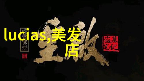 发型师培训课程-精髓剖析从基础技艺到创意造型