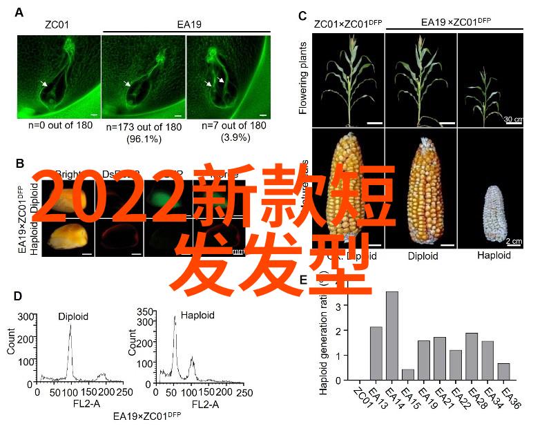 中短发40岁美人听歌看景适合你我他