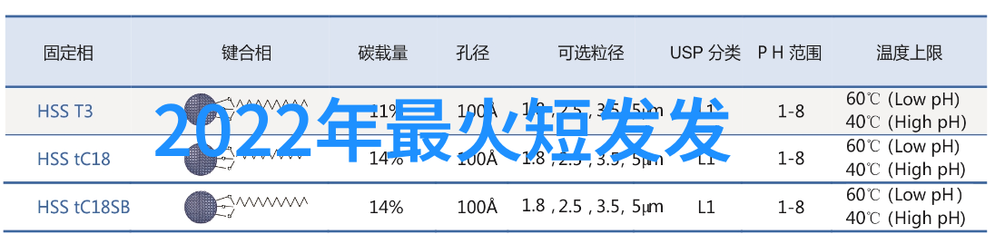 英伦风范的足球王子贝克汉姆发型的魅力与传承