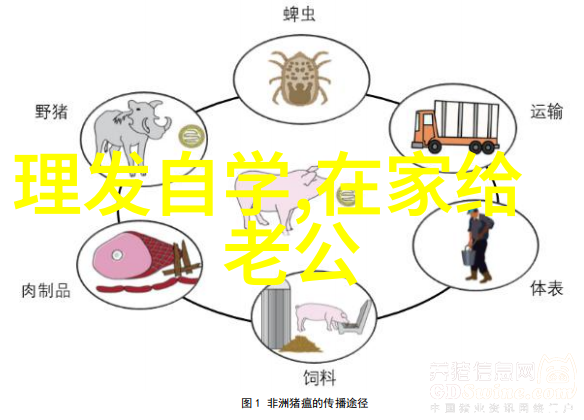 画心双生劫上映人妖情深徐海乔张芷溪共绘聊斋传说江苏省公务员资讯网独家揭秘