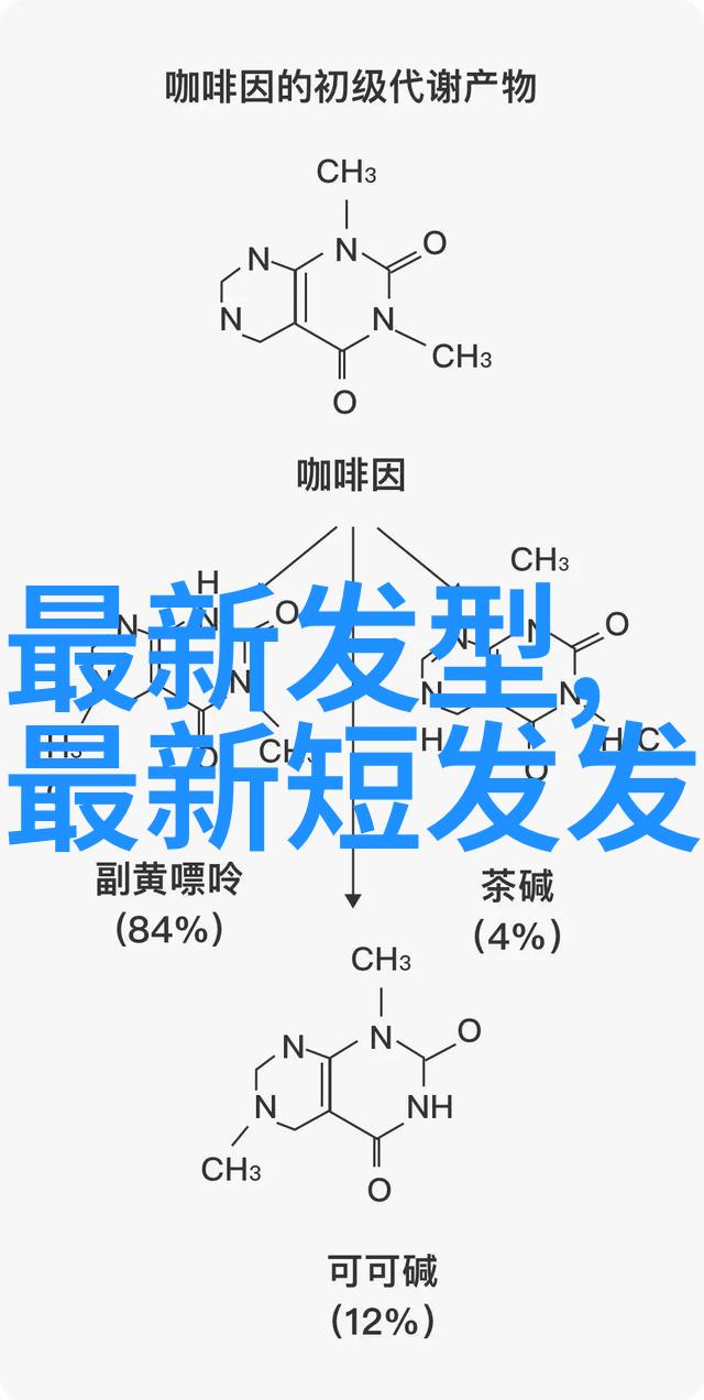 公主.....