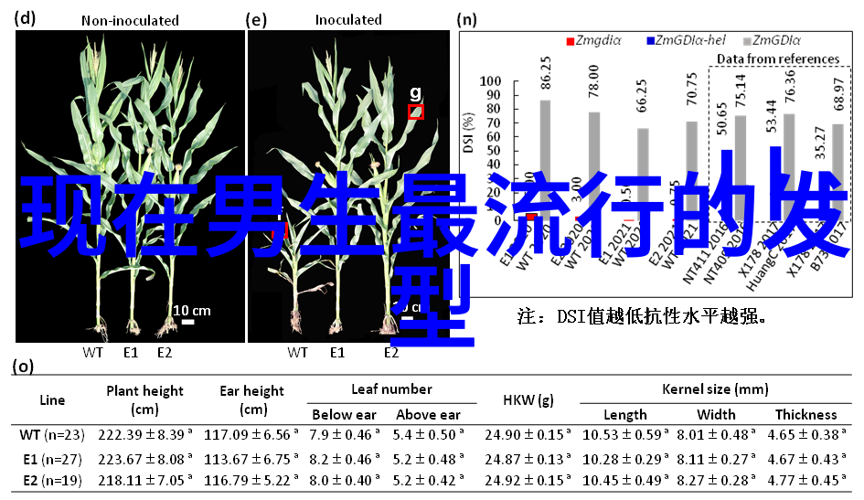 40后女性短发造型秘诀逆袭时尚新篇章