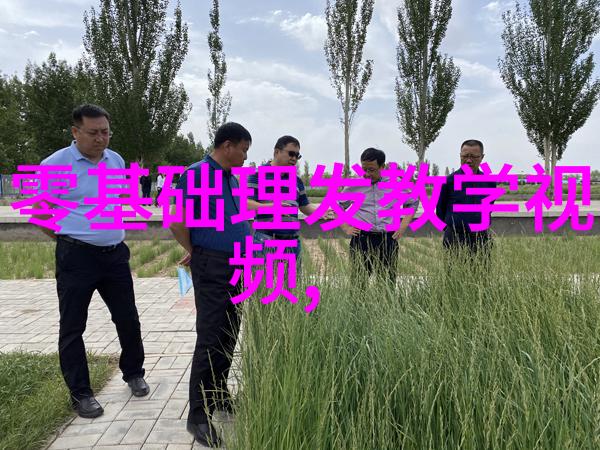 削弱或加强在应用美发剪头理论时什么因素会影响最终效果