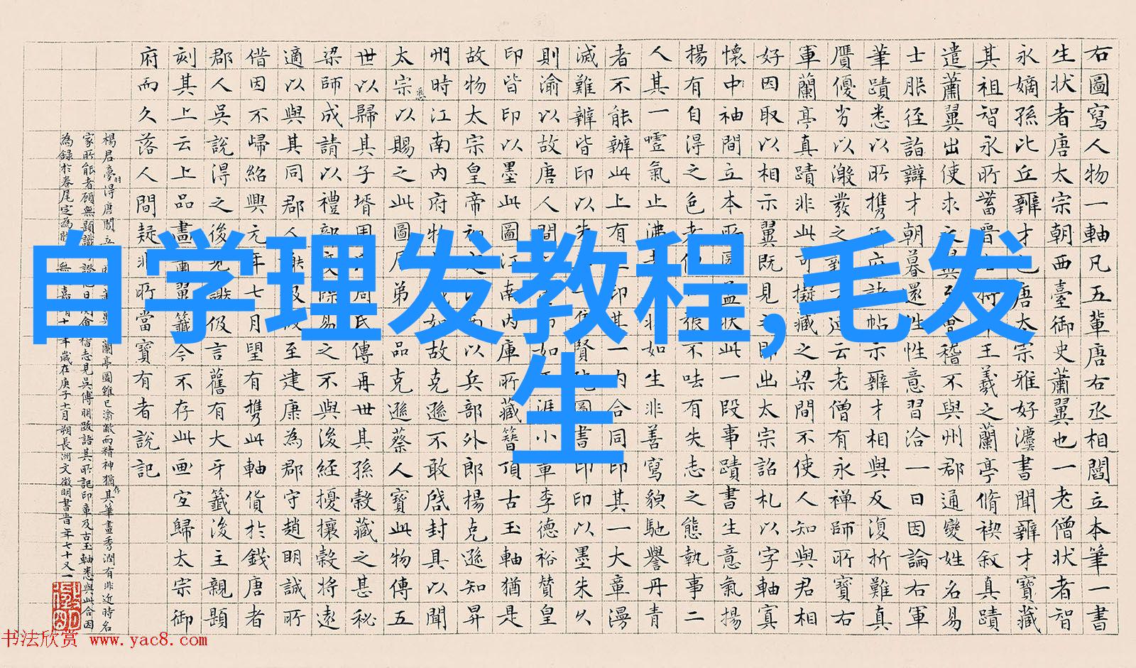 2023年最新烫发 - 时尚前沿揭秘2023年最流行的新颖烫发风格