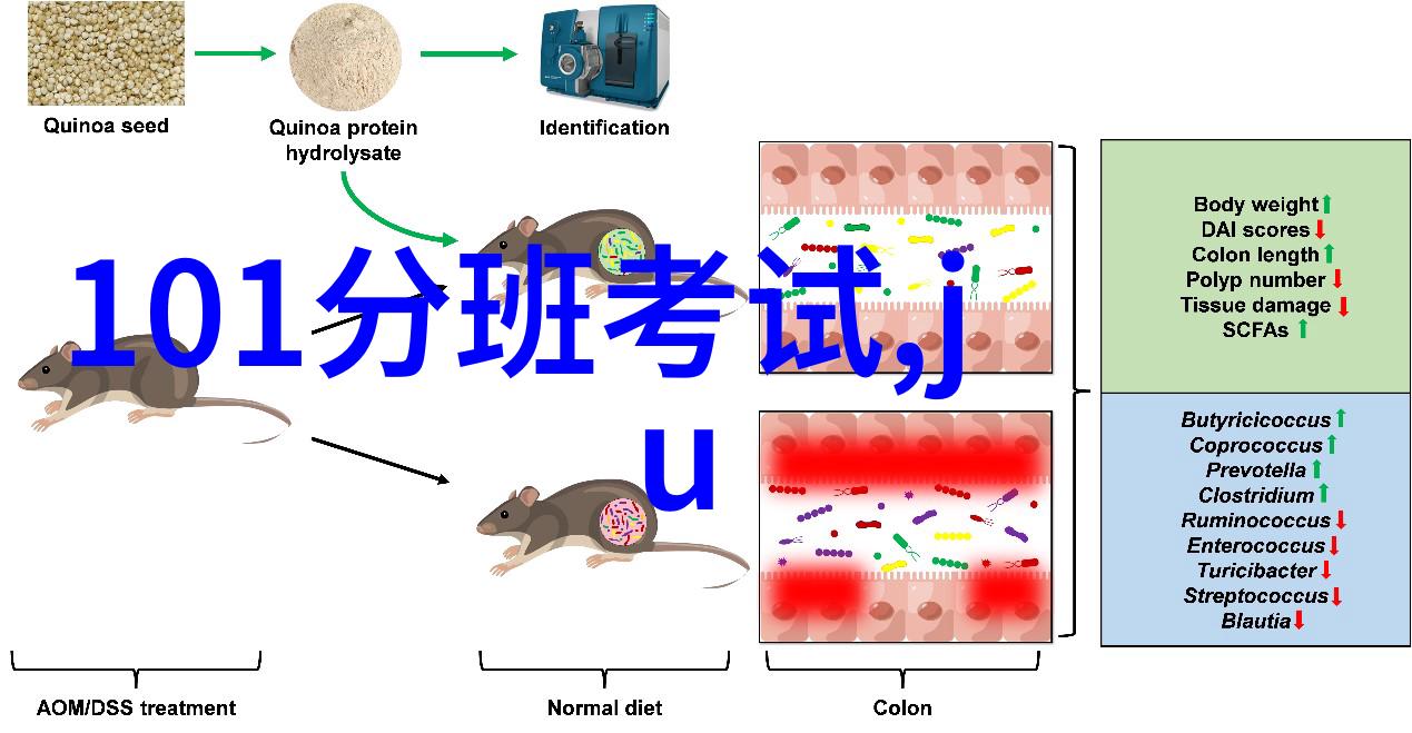 理发学艺必备选obook指南